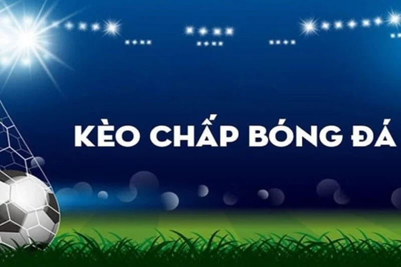 Đọc kèo chấp theo tỷ lệ tài xỉu chuẩn xác