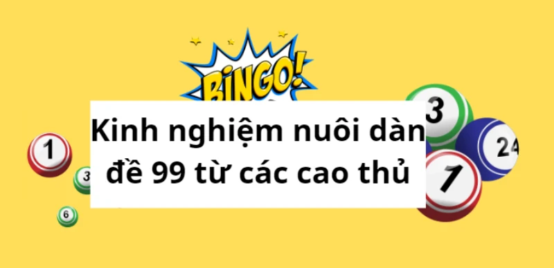 Tiết lộ kinh nghiệm nuôi dàn đề 99 từ các cao thủ
