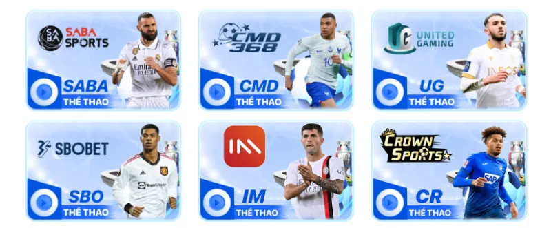Cá cược thể thao chuyên nghiệp nhất 