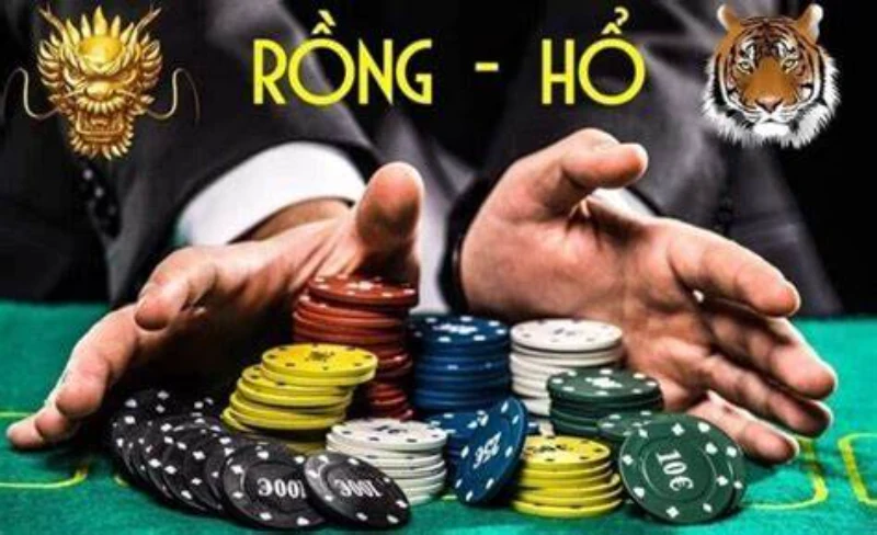 Bật mí nguồn gốc và tổng quan về rồng hổ