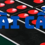 Bài cẩu là gì?