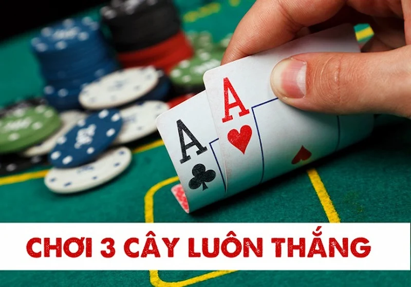 Nắm được chi tiết cách chia tiền cược cho ván game 3 cây của mình